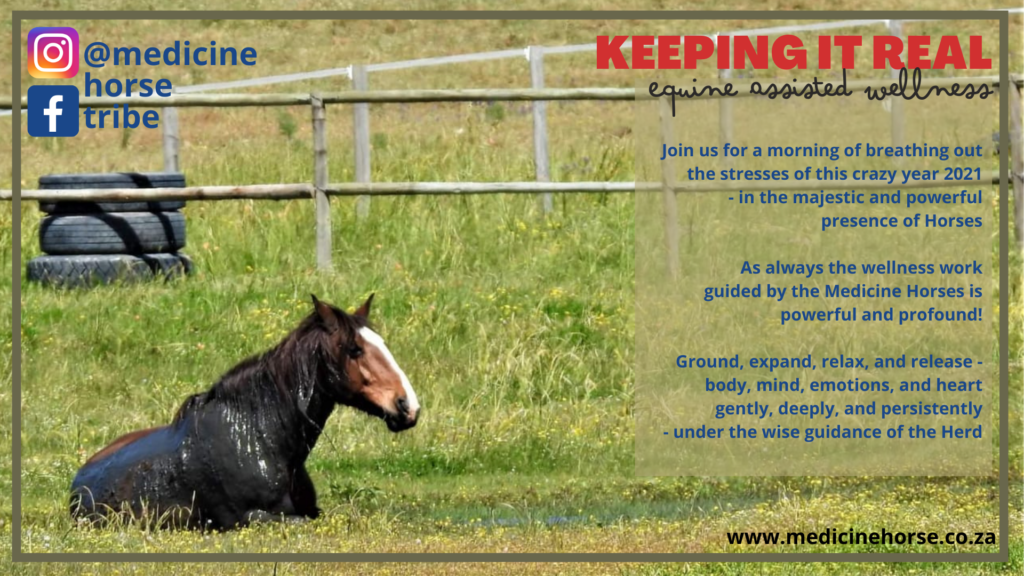 Medicine Horse Equine Assisted Wellness workshop 2021