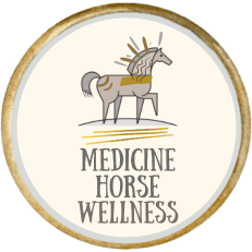 Medicine Horse