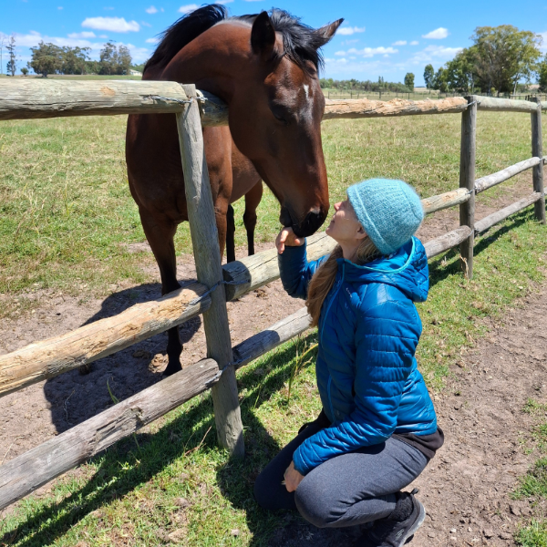 Medicine Horse client horse interaction